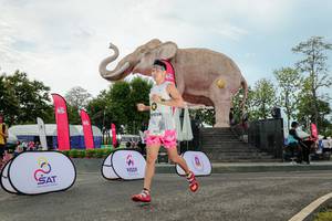 BIB: 
                            <button type="button" onclick="openModal(26529000)" class="btn btn-primary btn-sm float-right btn-popup" data-toggle="modal" data-target=".modal-high-quality">
                        <i class="fas fa-shopping-cart"></i> Add to Cart
                    </button>
                                            <button type="button" onclick="isThisMe(26529000, true)" class="btn btn-success btn-sm float-right btn-popup btn-isme hidden" data-toggle="tooltip" data-placement="bottom" title="นี่คือรูปของคุณใช่ไหม คลิกที่นี่เพื่อเอาเข้าอัลบั้ม">
                        <i class="fas fa-plus"></i> Add to album
                    </button>
                    <button type="button" onclick="isThisMe(26529000, false)" class="btn btn-warning btn-sm float-right btn-popup btn-isnotme hidden">
                        <i class="fas fa-ban"></i> Remove from album
                    </button>